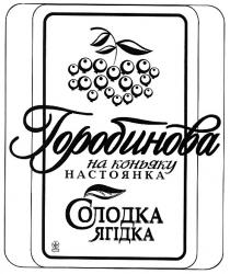 горобинова, на коньяку, настоянка, солодка ягідка, солодка, ягідка