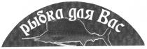 рыбка для вас, рыбка, для, вас