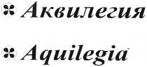 аквилегия, aquilegia