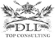 dll, top consulting, top, consulting