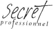 secret, secvet, professionnel