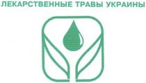 лекарственные травы украины, лекарственные, травы, украины
