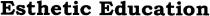 esthetic education, esthetic, education