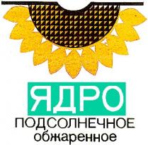 ядро