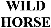 wild horse, wild, horse