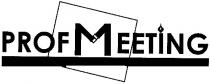 prof meeting, prof, meeting