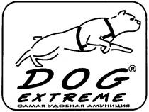 dog, extreme, самая удобная амуниция, самая, удобная, амуниция