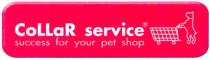 collar service, collar, service, success for your pet shop, success, for, your, pet, shop
