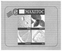 махітос, ром, м`ята, maxitoc, лимон, лід, найкращі коктейлі світу, найкращі, коктейлі, світу