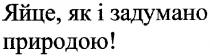 яйце,як і задумано природою!, яйце, задумано, природою