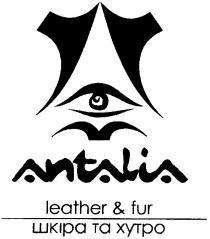 antalia, leather&fur, leather, fur, шкіра та хутро, шкіра, хутро