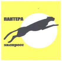 пантера, экспресс