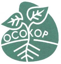 ocokop, осокор