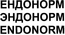 ендонорм, эндонорм, endonorm