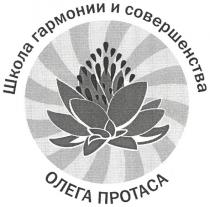 школа гармониии и совершенства олега протаса, школа, гармонии, совершенства, олега, протаса