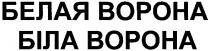 белая ворона, белая, ворона, біла ворона, біла