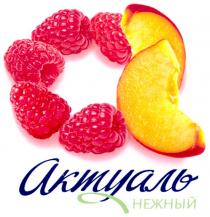 актуаль нежный, актуаль, нежный