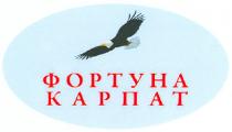 фортуна карпат, фортуна, карпат
