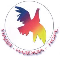 надія - надежда - hope, hope, надія, надежда