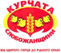 від щирого серця до рідного краю, від, щирого, серця, до, рідного, краю, курчата слобожанщини, курчата, слобожанщини