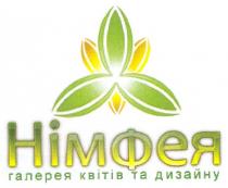 німфея галерея квітів та дизайну, німфея, галерея, квітів, дизайну