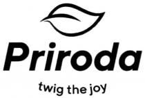 joy, twig, priroda, priroda twig the joy