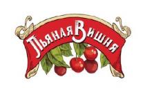 вишня, пьяная, пьяная вишня