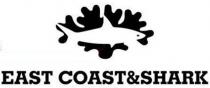 east coast&shark, east, coast, shark, &