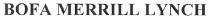 bofa merrill lynch, bofa, merrill, lynch