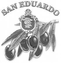 san eduardo, san, eduardo