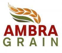 ambra, ambra grain, grain