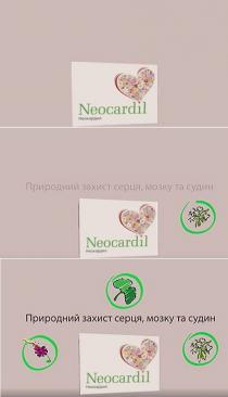 neocardil, захист, природний, природний захист серця мозку та судин, судин, серця, мозку, мозку та судин, неокардил