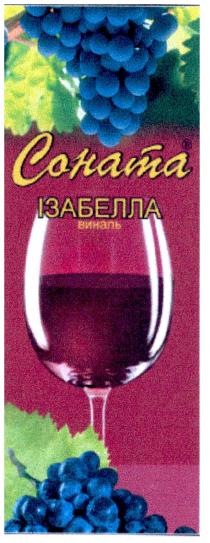 соната ізабелла виналь, соната, ізабелла, виналь