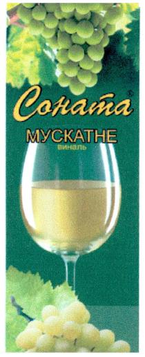 соната мускатне виналь, соната, мускатне, виналь