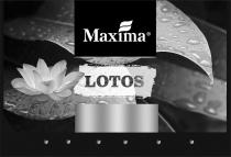 maxima, maxima lotos, lotos