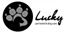 care, dog, hotel, lucky, pet, pet hotel&dog care