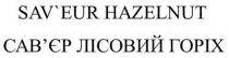 hazelnut, sav`eur, sav`eur hazelnut, saveur, горіх, лісовий, сав`єр, сав`єр лісовий горіх, савєр