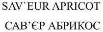 apricot, sav`eur, sav`eur apricot, saveur, абрикос, сав`єр, сав`єр абрикос, савєр
