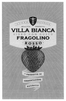 villa bianca sidro con gusto fragolino, villa, bianca, sidro, con, gusto, fragolino, qualita perpetta, qualita, perpetta, sidro, naturale, rosso, prodotto di fermentazione naturalle, prodotto, fermentazione, naturalle