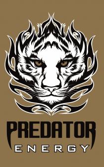 predator energy, predator, energy