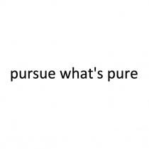 pursue what's pure, pursue, what's, whats, pure