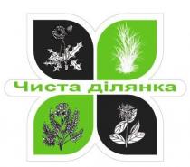 ділянка, чистаа, чиста ділянка