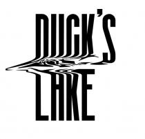 ducks, lake, duck`s, duck`s lake