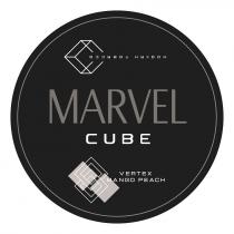 tobacco, hookah, hookah tobacco, peach, mango, vertex, vertex mango peach, cube, marvel, marvel cube
