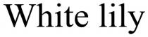 lily, white, white lily