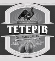 спирту, додання, штучного, без штучного, броварня, приватна, перша, бродіння, природне, дозрівання, тривале, слива, хмільна, пиво спеціальне, без штучного додання спирту, перша приватна броварня, тривале дозрівання природне бродіння, хмільна слива, тетерів