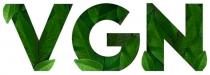 vgn
