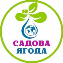 ягода, садова, садова ягода