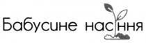 насіння, бабусине, бабусине насіння