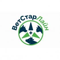 лайн, стар, вет, ветстарлайн